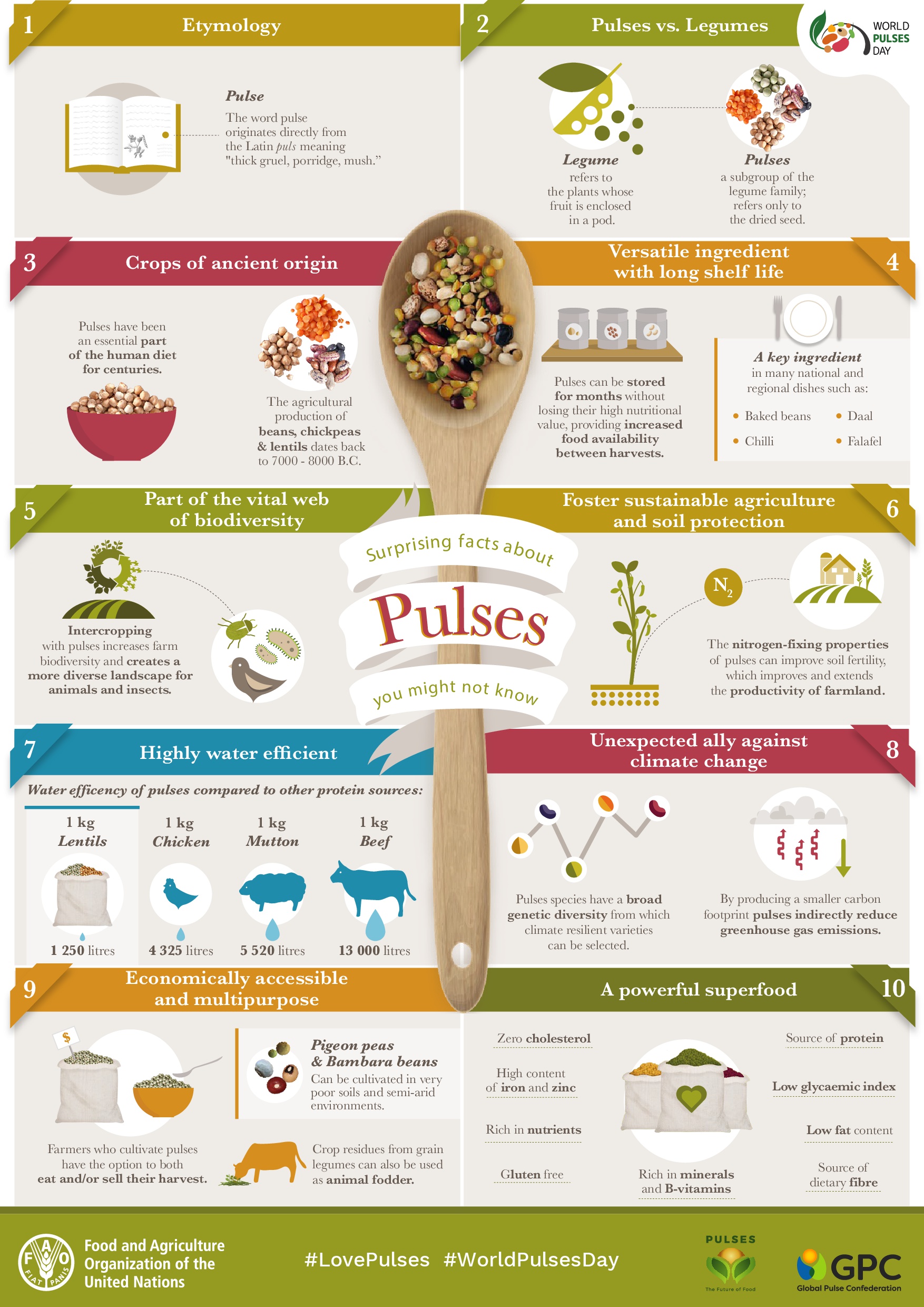 Surprising-Facts-about-Pulses